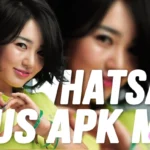 WhatsApp Plus Apk Mod Resmi Versi v11.75 Download Update Terbaru